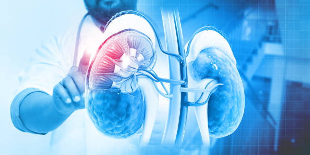 Cardiology heart care and monitoring in hospital